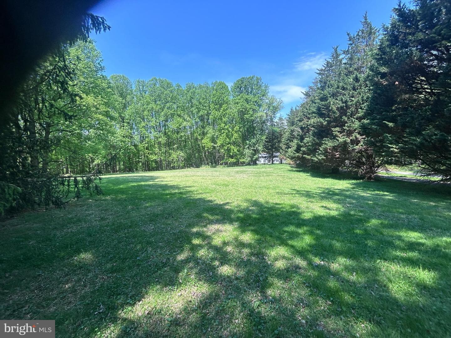 11890 Triadelphia Road photo 5