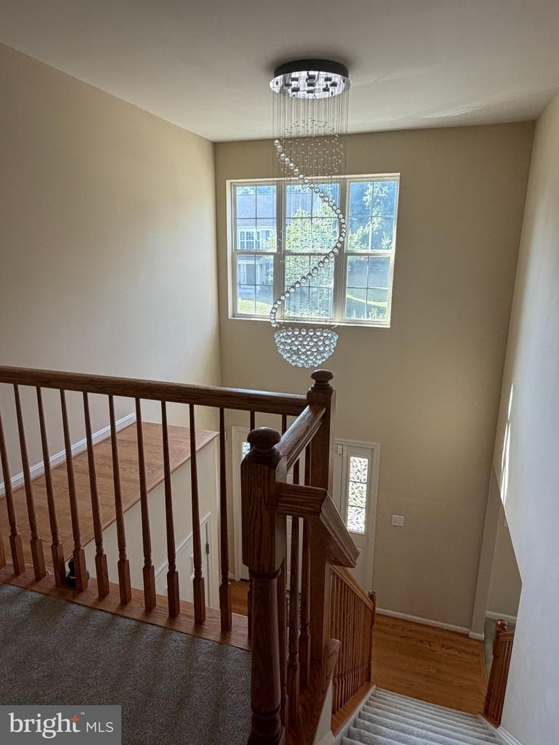 6122 Noah Way photo 11