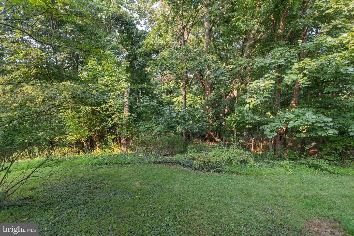 9752 Summer Park Court photo 35