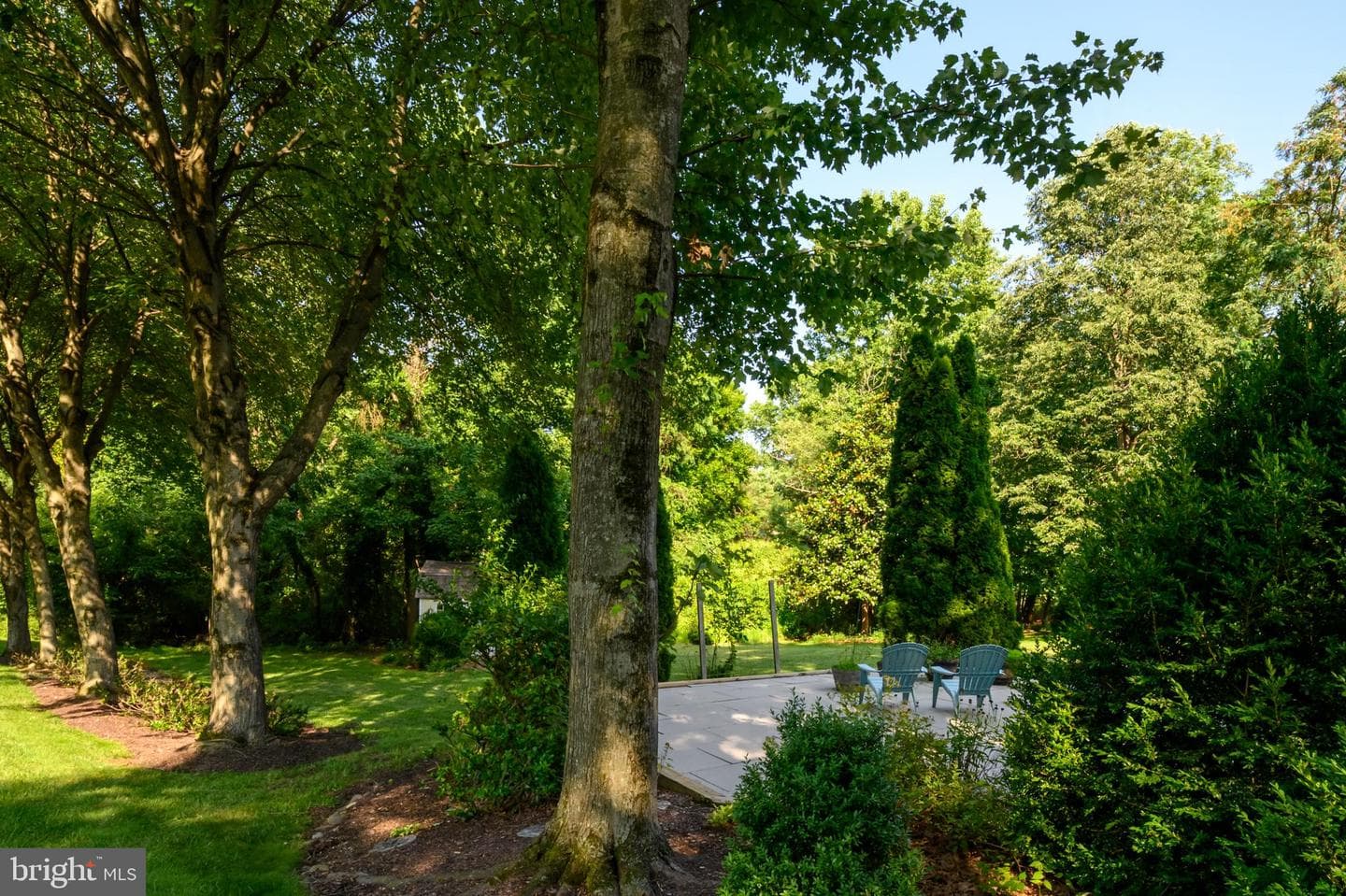 8518 Rosecroft Terrace photo 41