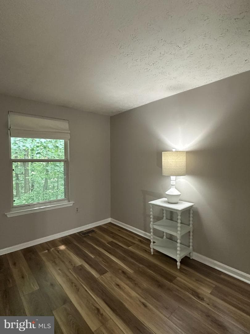 6074 Wild Ginger Court photo 19