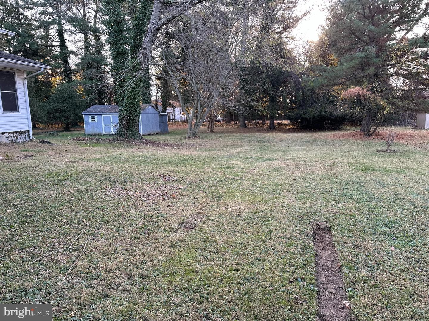 203 Radcliffe Drive photo 12