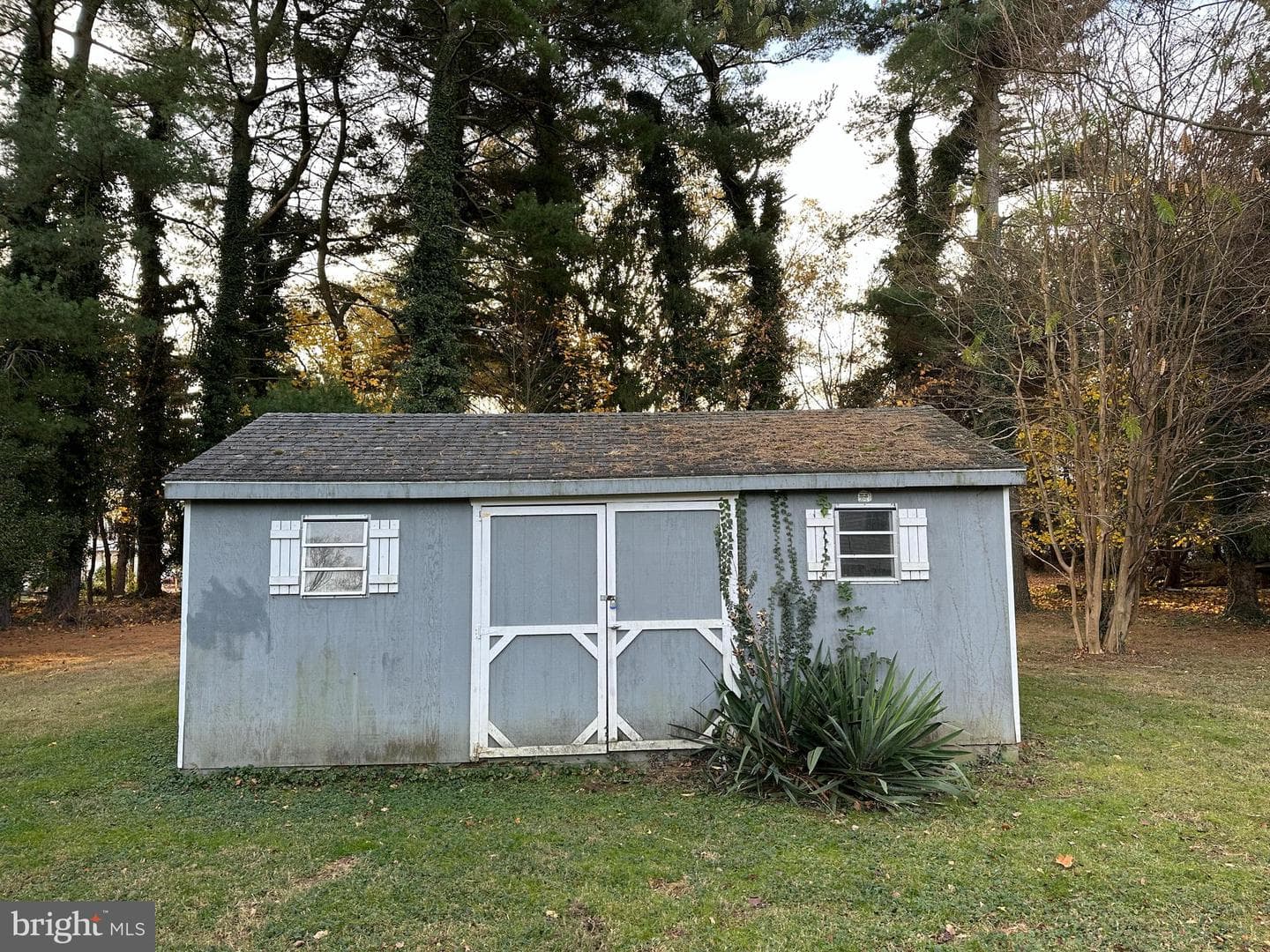 203 Radcliffe Drive photo 13