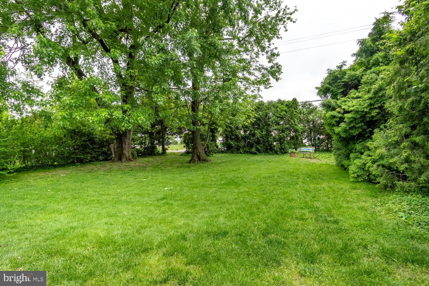106 Pine Street photo 20