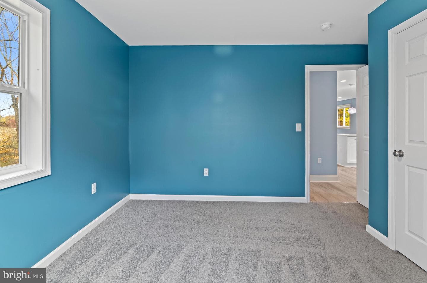 11353 Needam Road photo 19