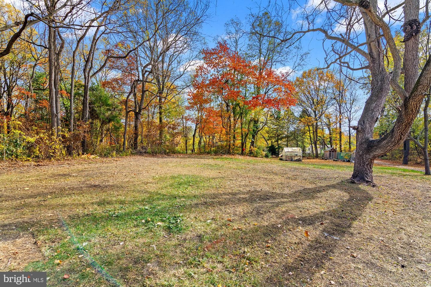 11353 Needam Road photo 30