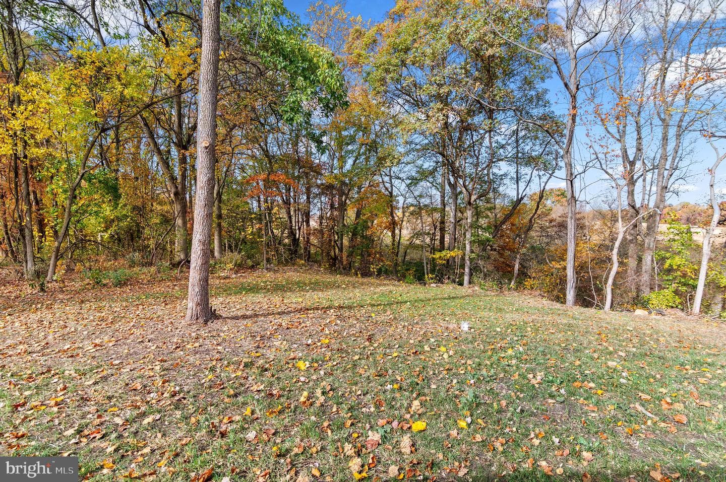 11353 Needam Road photo 31