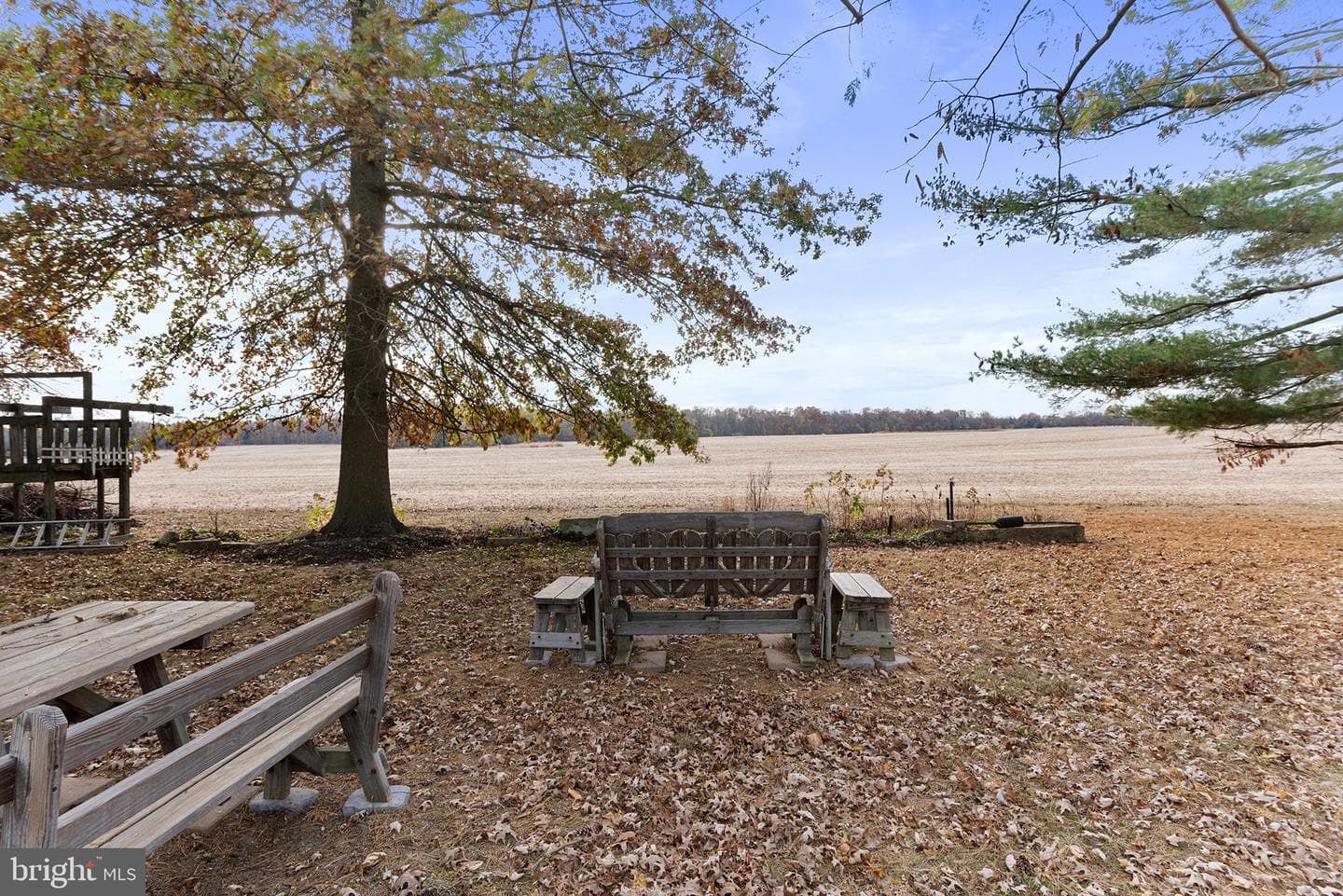 12664 Still Pond Road photo 38