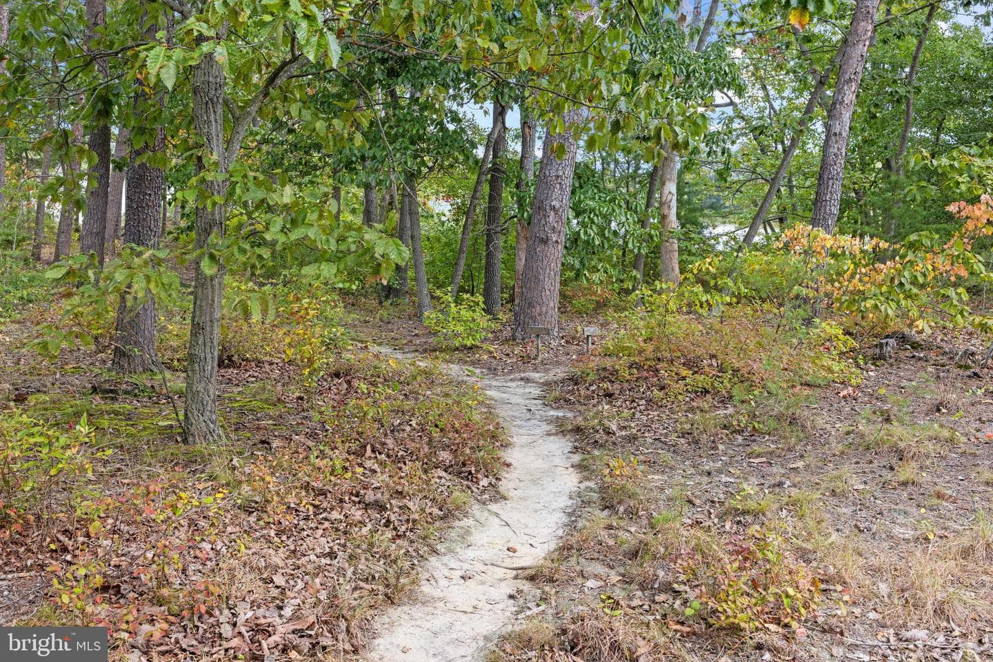 6581 Elizabeths Lane photo 61