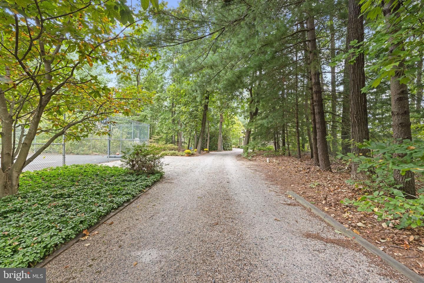 6581 Elizabeths Lane photo 63
