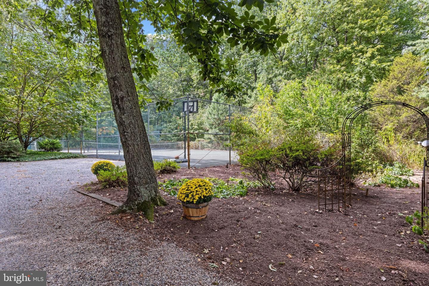 6581 Elizabeths Lane photo 64