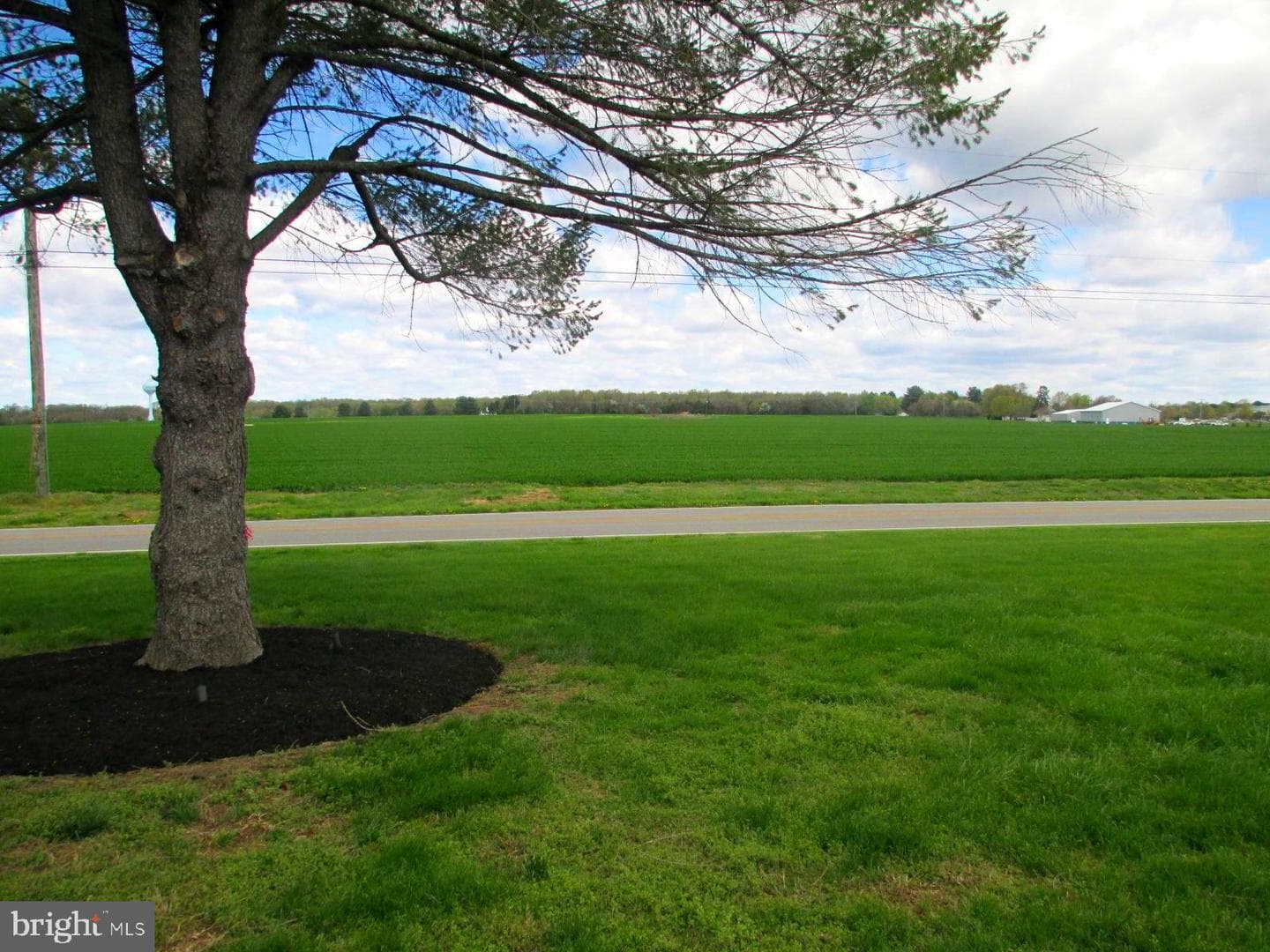25241 Porters Grove Road photo 20