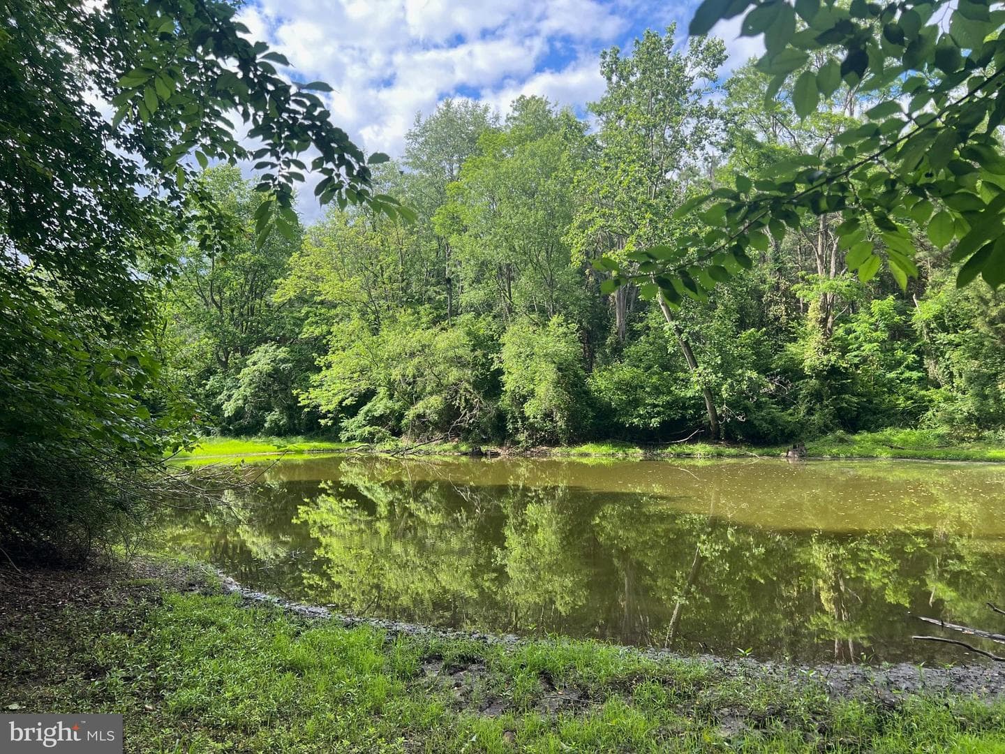 13931 Eagles Nest Farm Lane photo 37