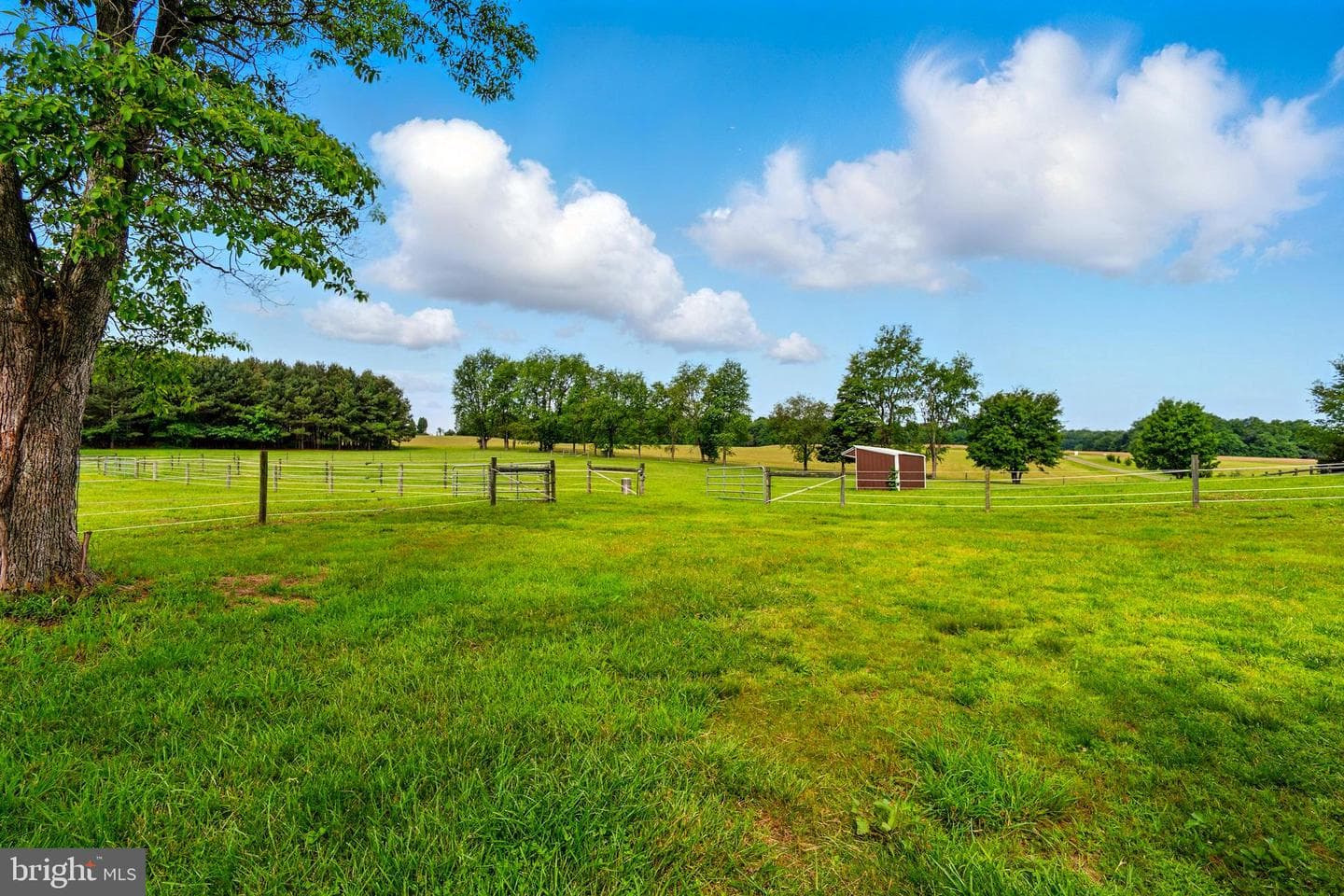 13931 Eagles Nest Farm Lane photo 45