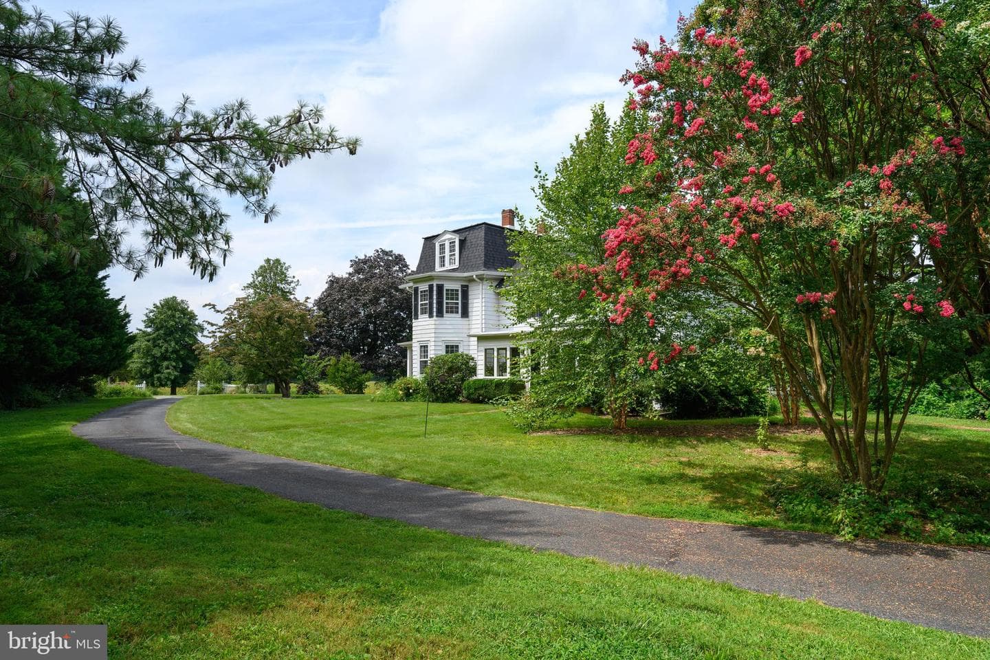 13699 Still Pond Road photo 11