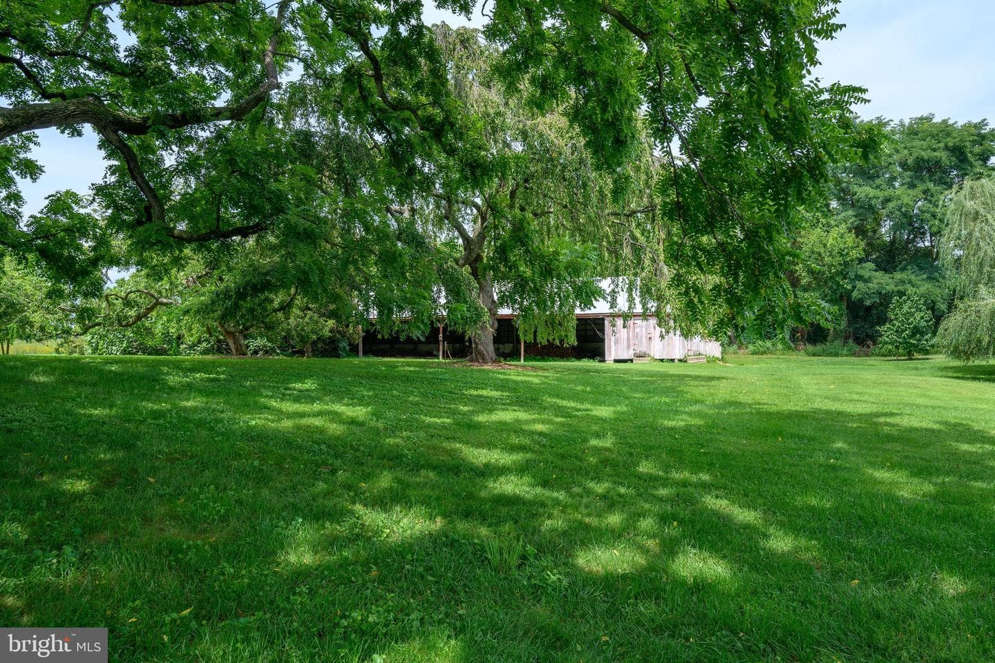 13699 Still Pond Road photo 15