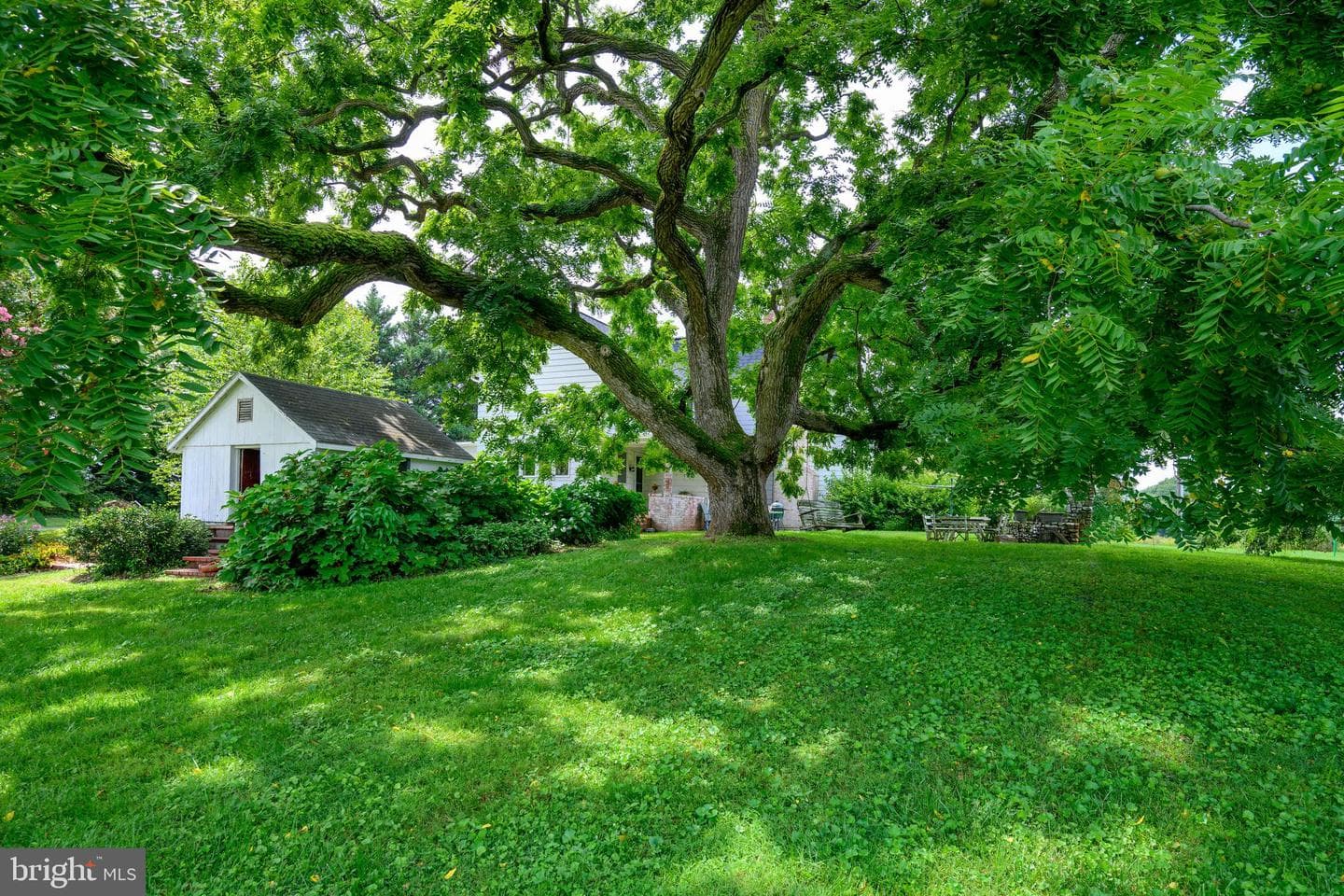 13699 Still Pond Road photo 16