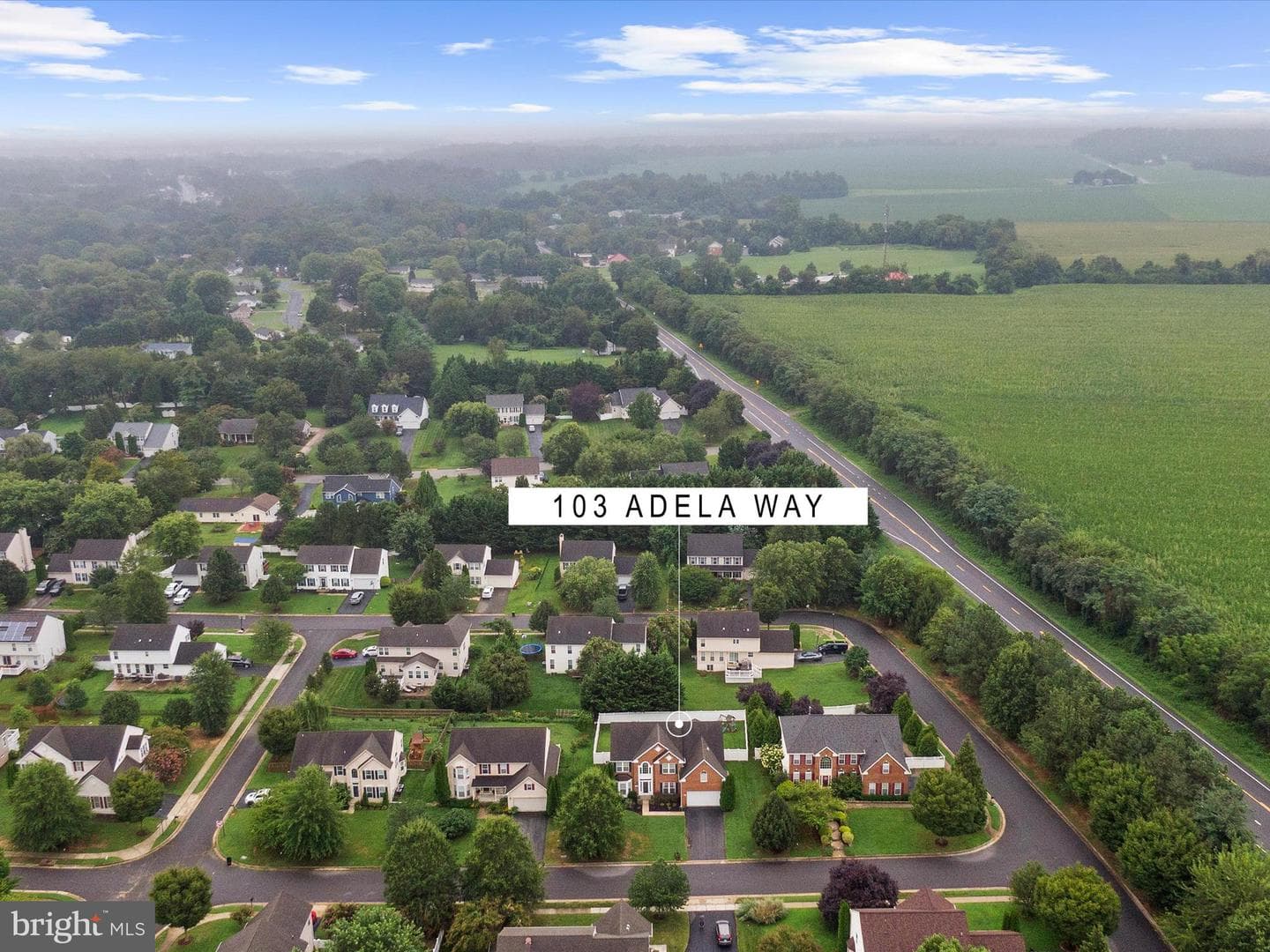 103 Adela Way photo 38