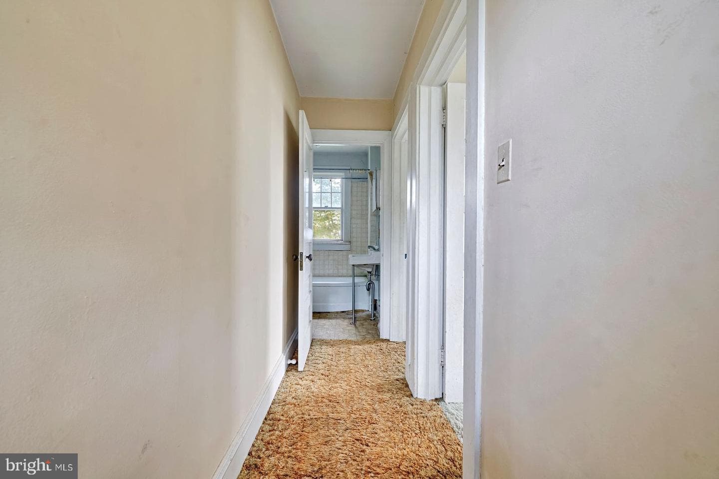 12191 Galena Road photo 14