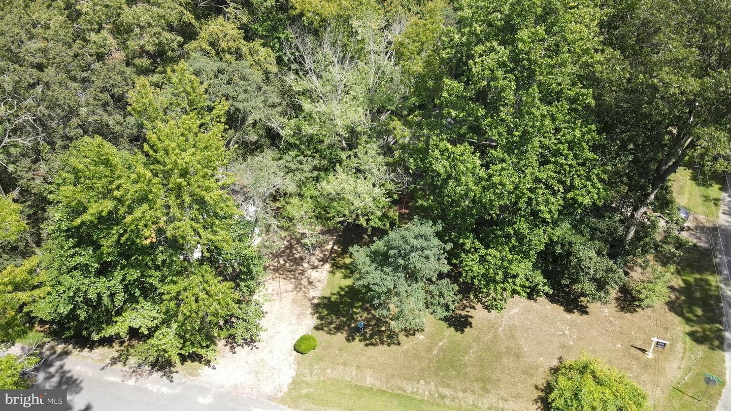 10751 Millbrook Drive photo 44