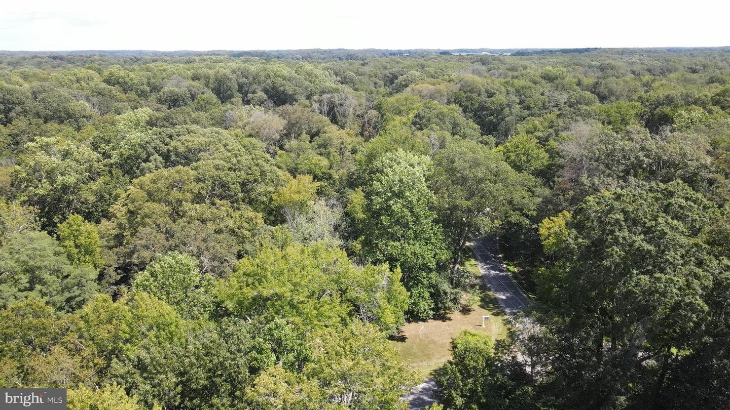 10751 Millbrook Drive photo 49