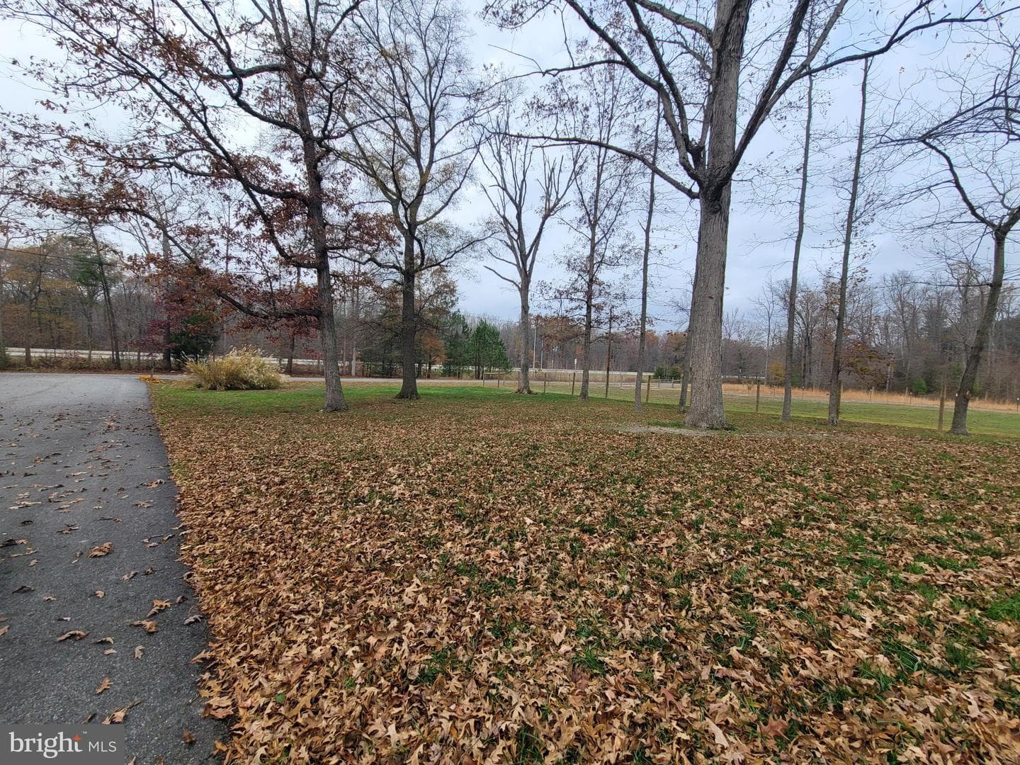 32287 Quinn Road photo 29