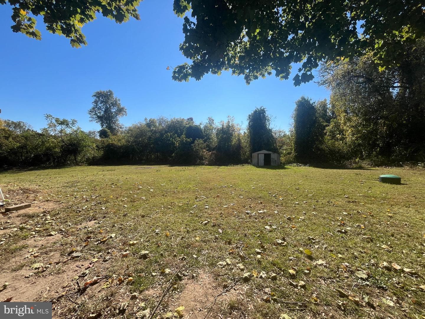 31695 Olivet Circle photo 18