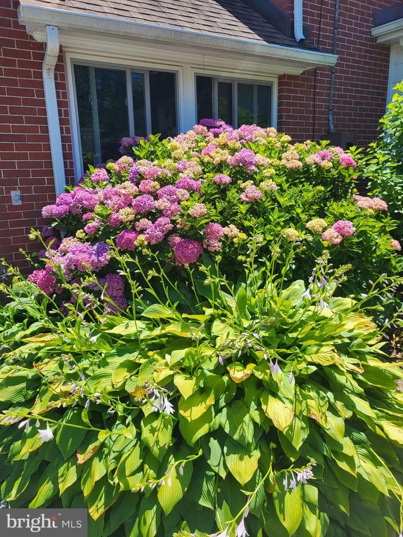 201 Greenwood Avenue photo 49
