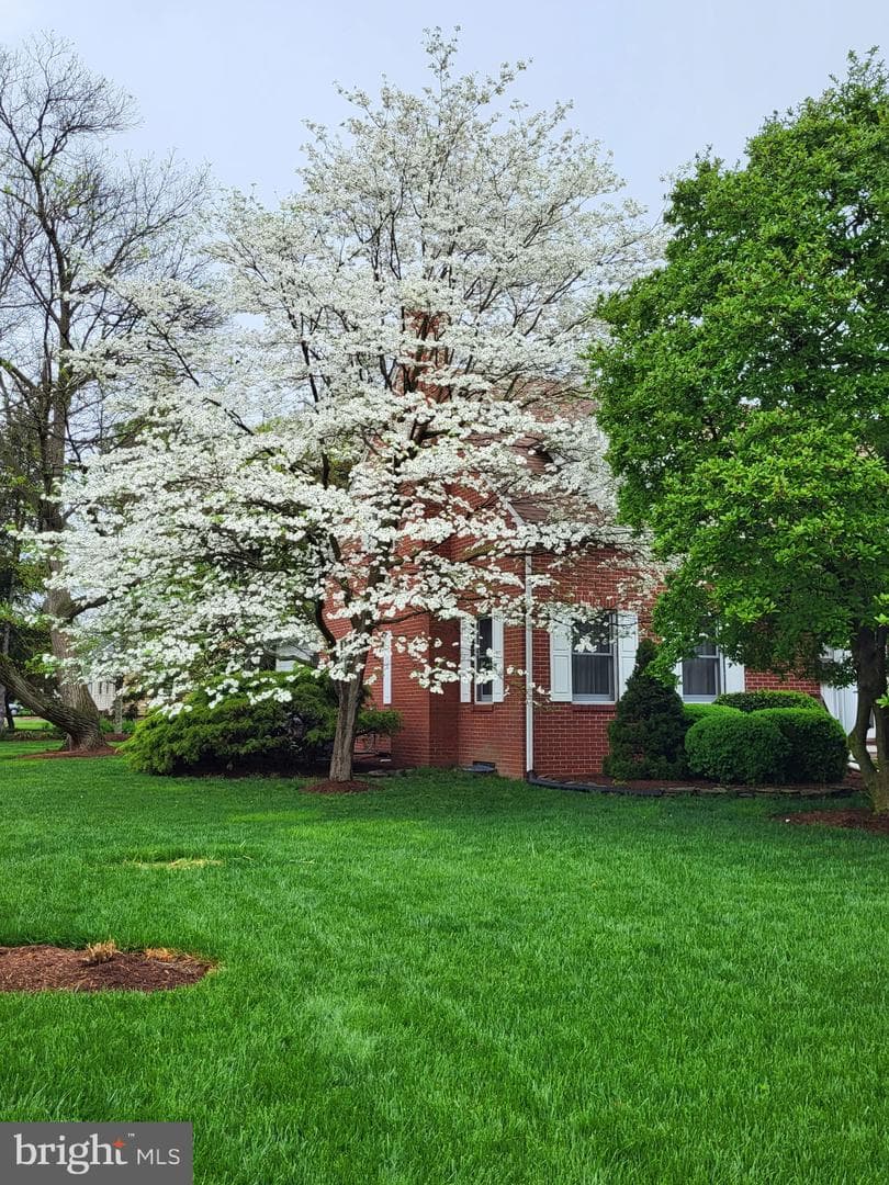 201 Greenwood Avenue photo 52