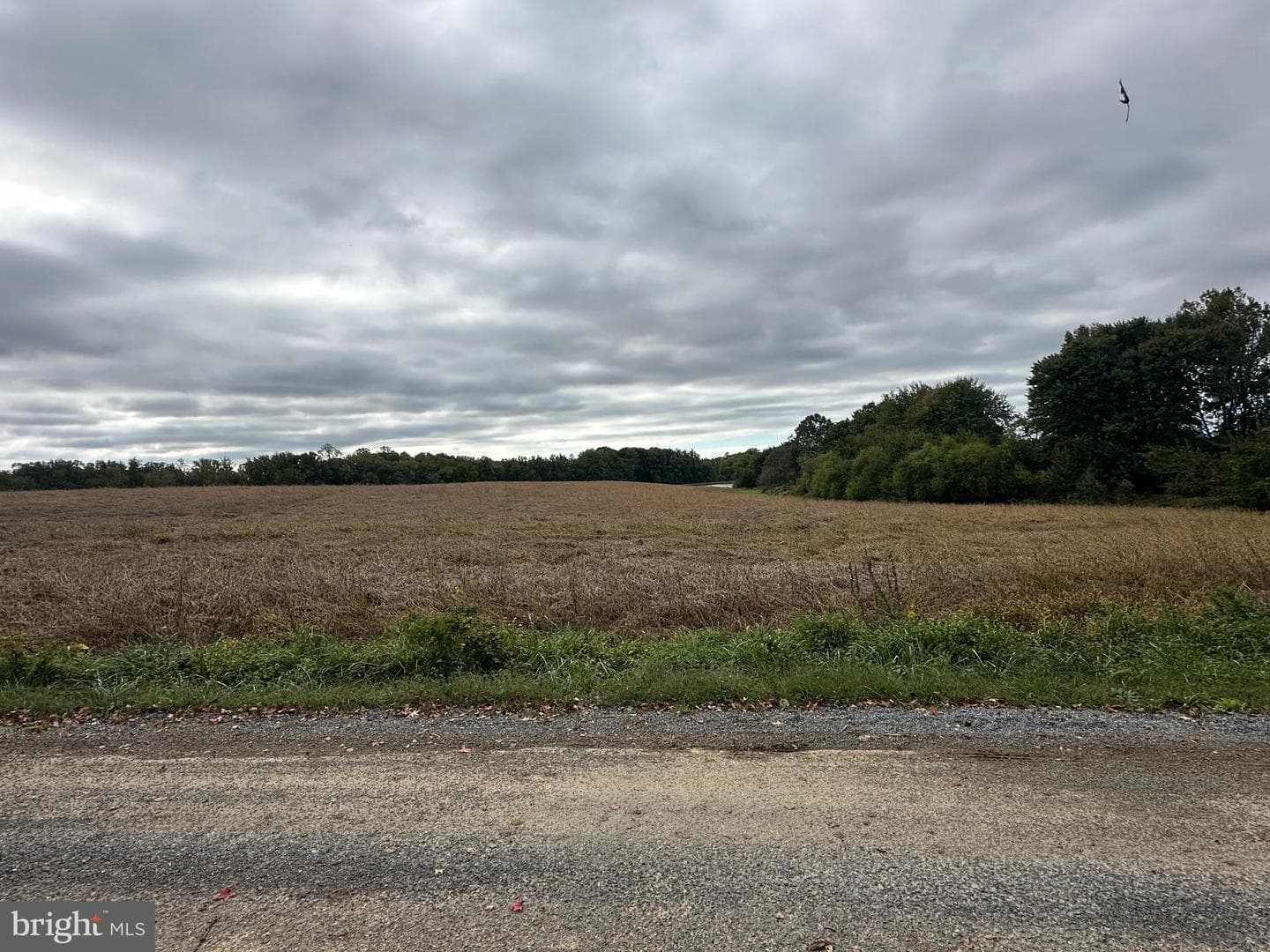 11047 Bottom Road photo 3