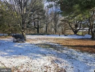 11029 Brindley Drive photo 3