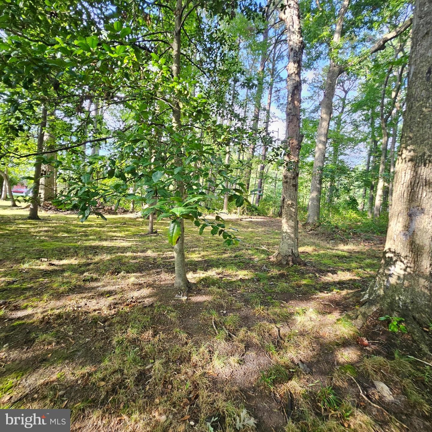5827 S Hawthorne Avenue photo 47