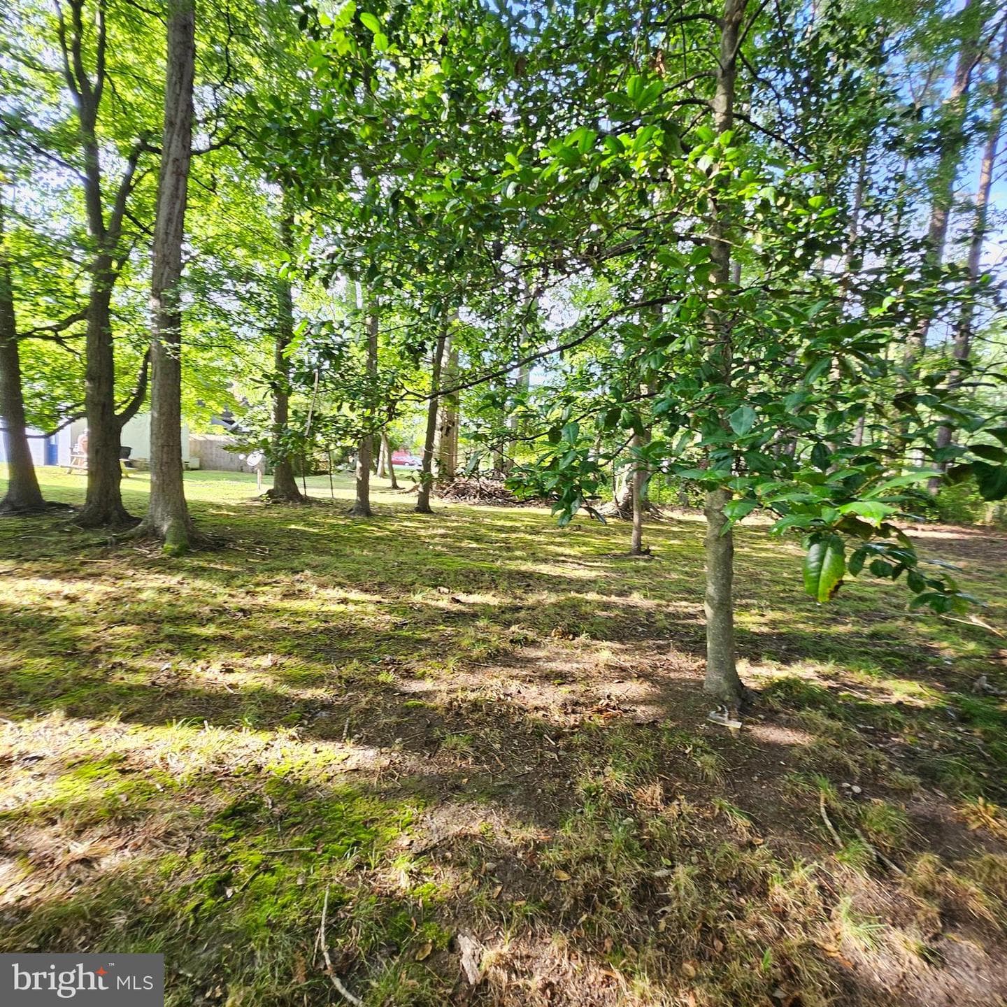 5827 S Hawthorne Avenue photo 48