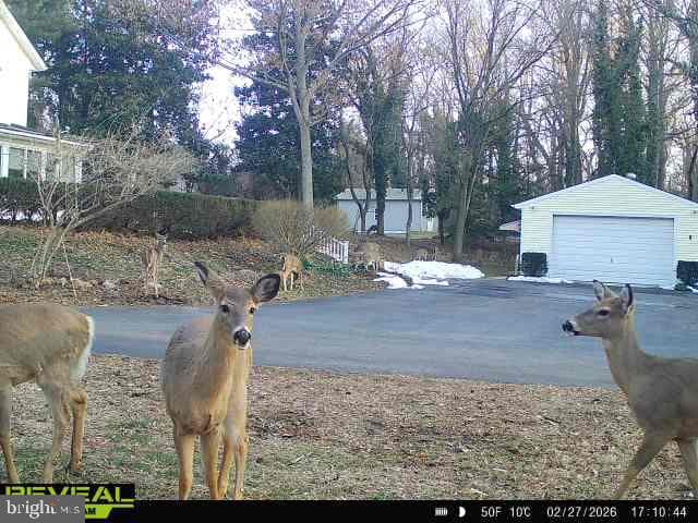 201 Ericsson Avenue photo 53