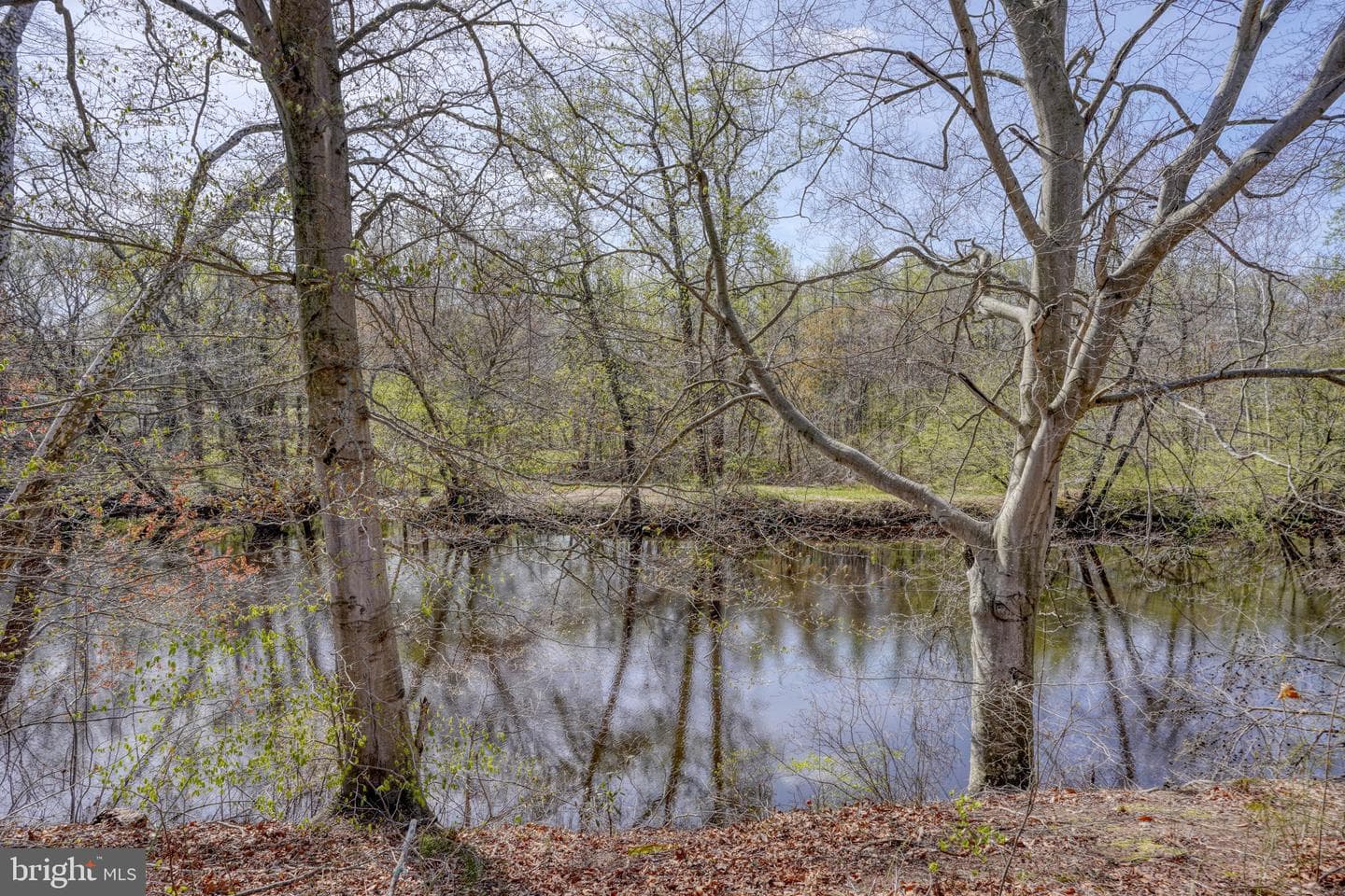 31729 W Edge Road photo 60