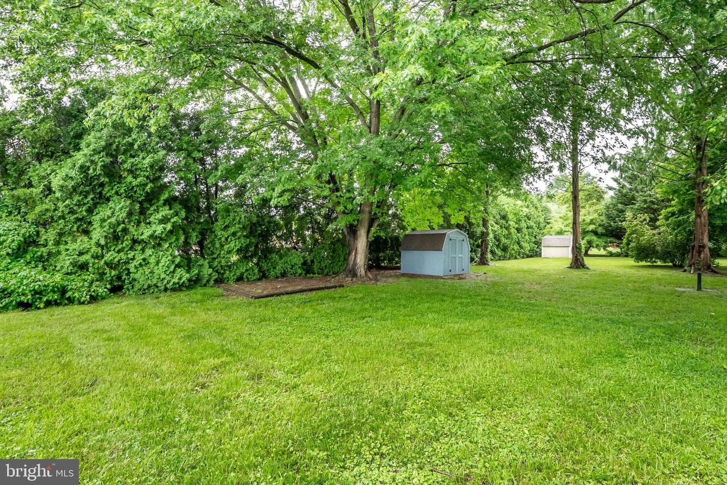 11106 Plum Drive photo 4