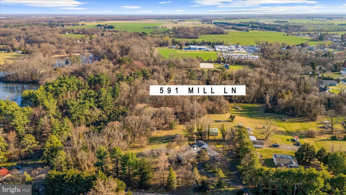 591 Mill Lane photo 65
