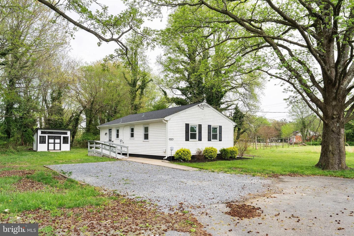 11167 Oak Lane photo 15