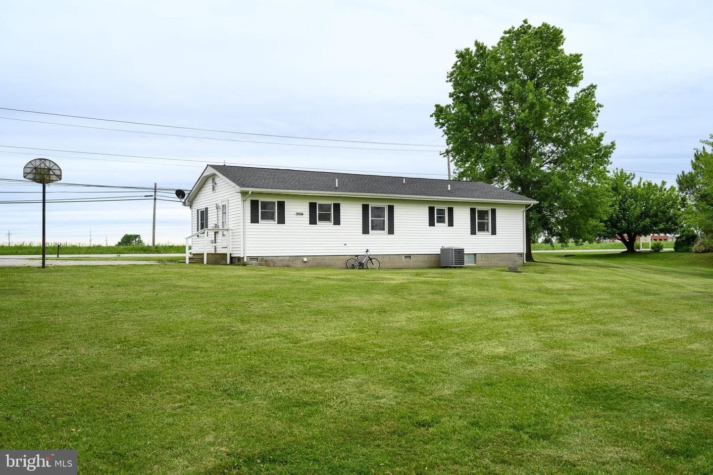 956 Washington Avenue photo 5