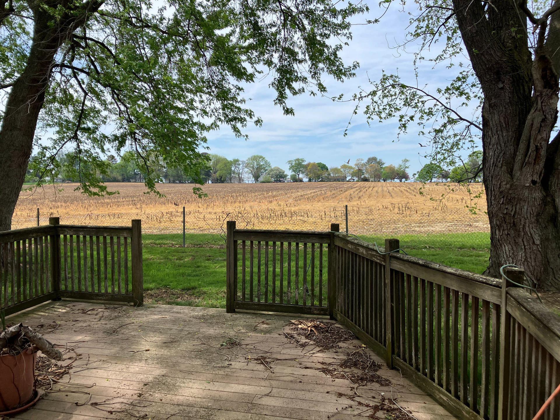 4020 Eastern Neck Road photo 12