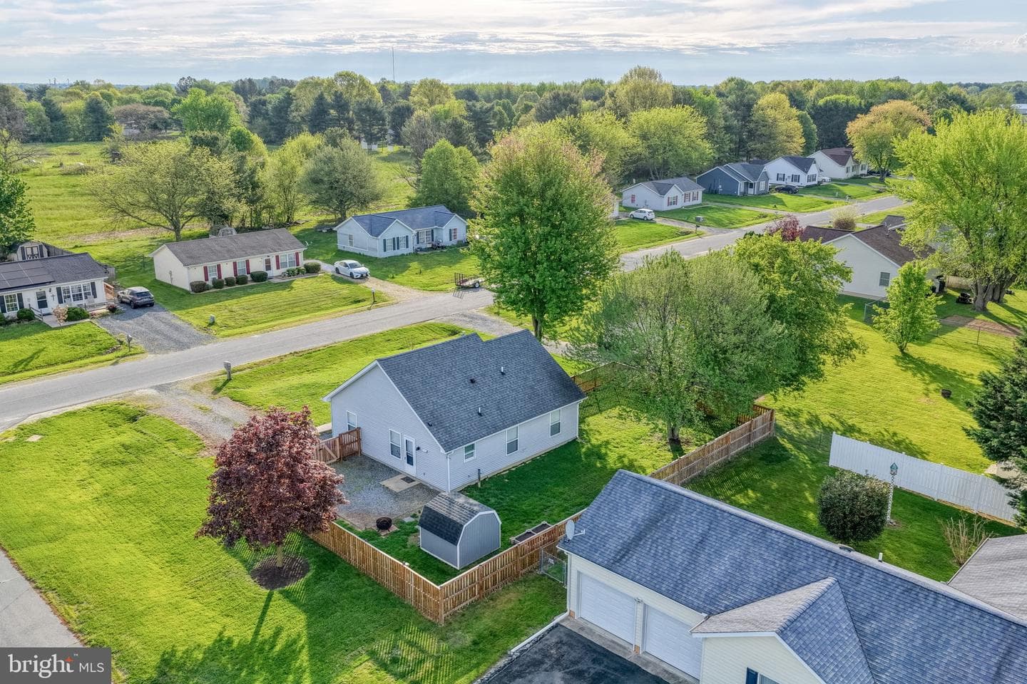 11060 Plum Drive photo 14