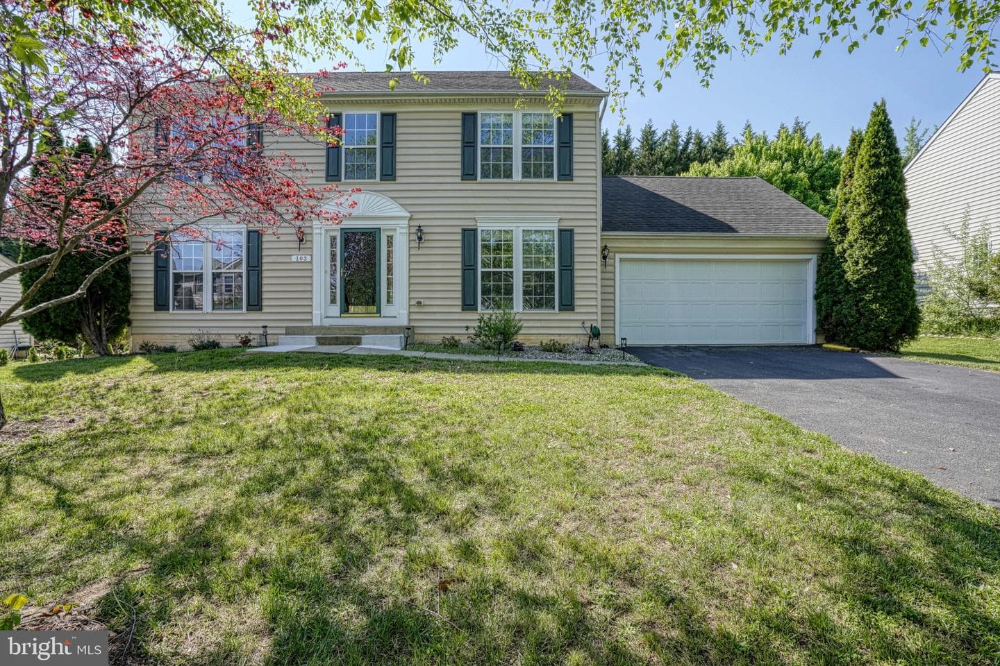 103 Trafford Drive photo 8