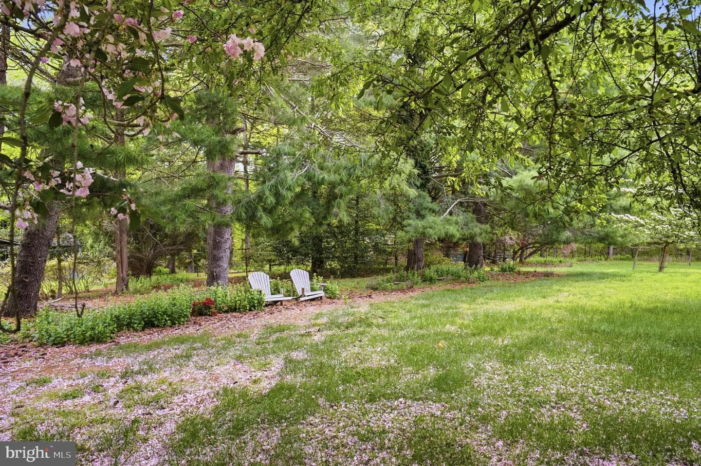 25124 E Kentfield Road photo 28