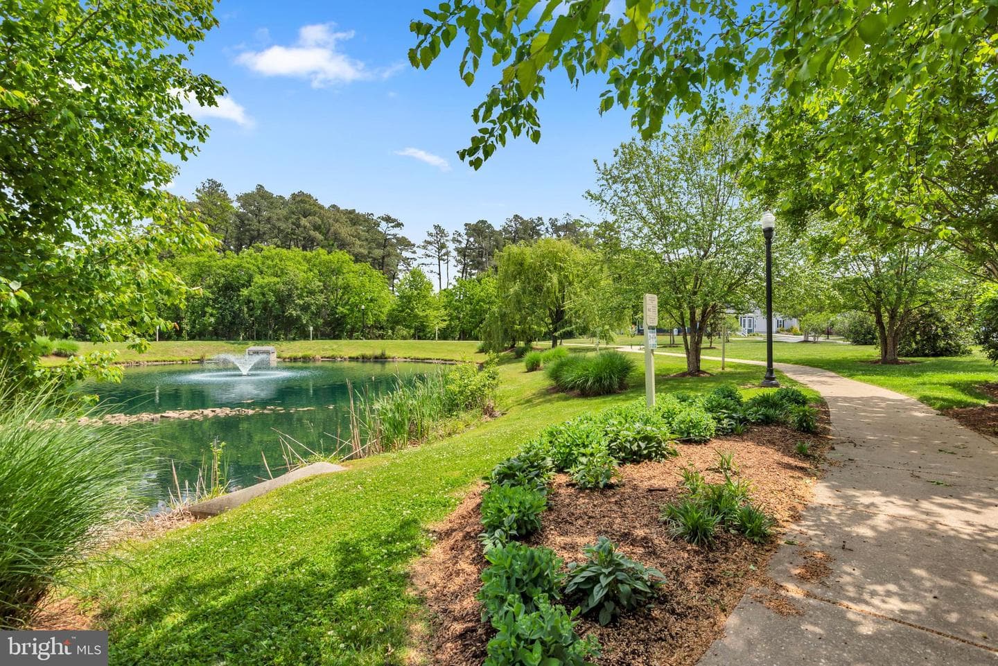 107 Flying Cloud Drive photo 41