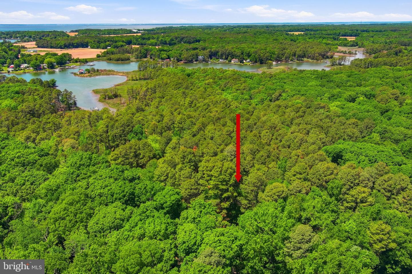 22300 Frazier Road photo 25