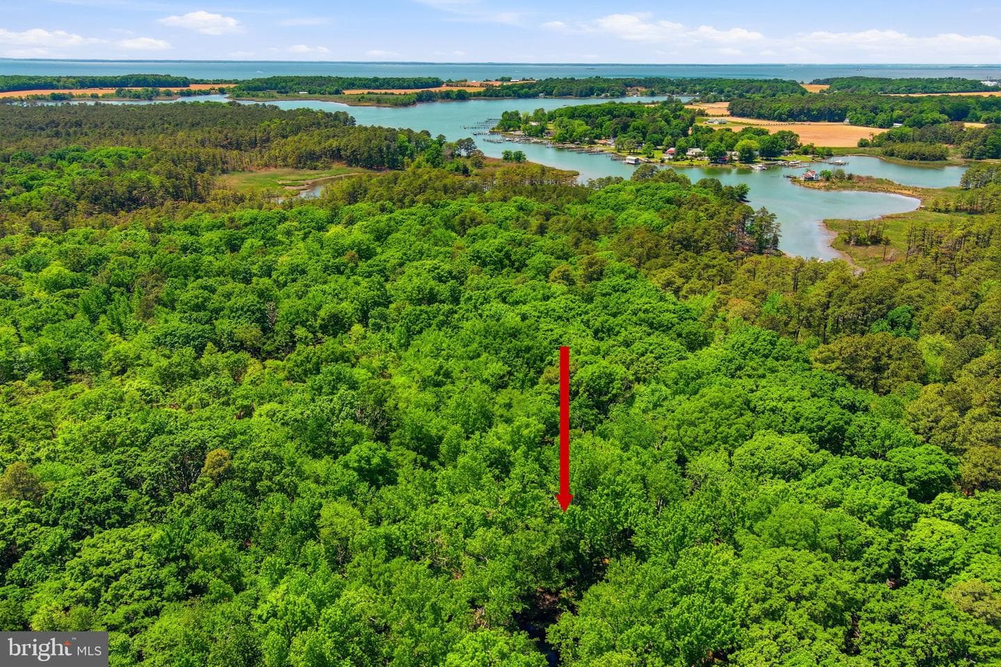 22300 Frazier Road photo 26