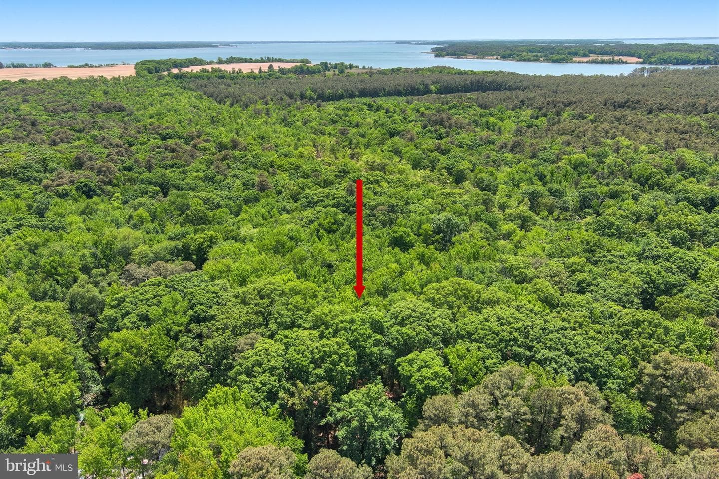 22300 Frazier Road photo 27