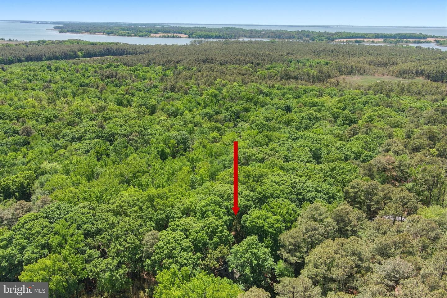 22300 Frazier Road photo 28