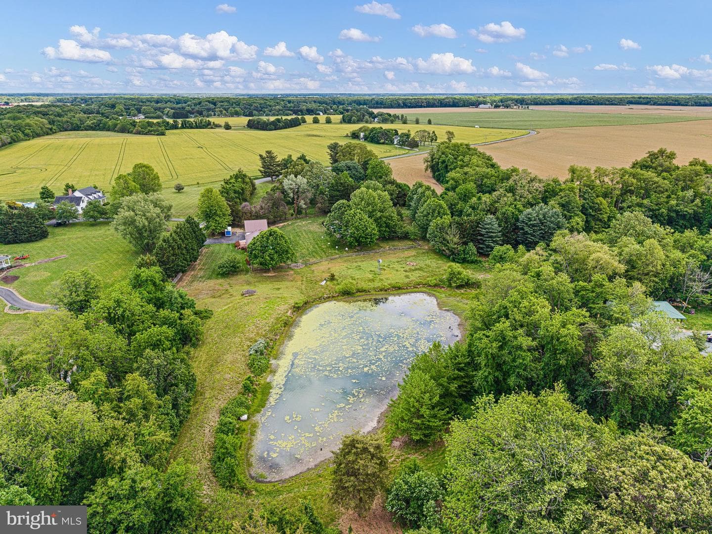 31531 Jim Davis Road photo 28