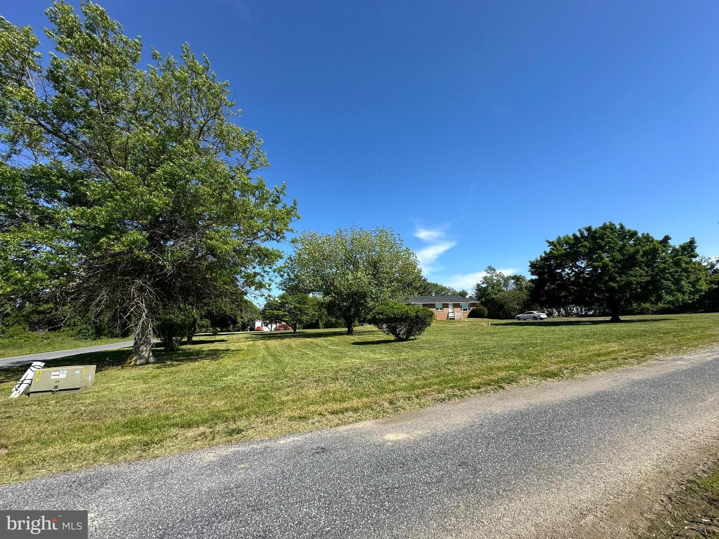 31657 Olivet Circle photo 3